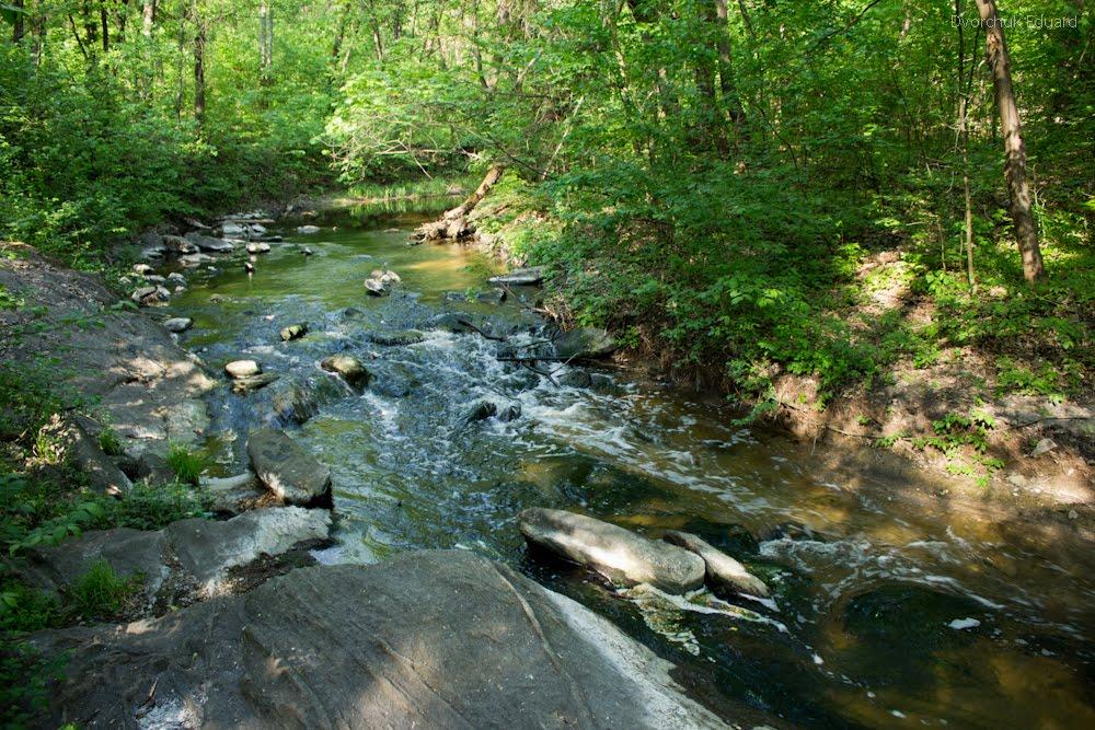 Ганнівка з panoramio.com - Ганнівка