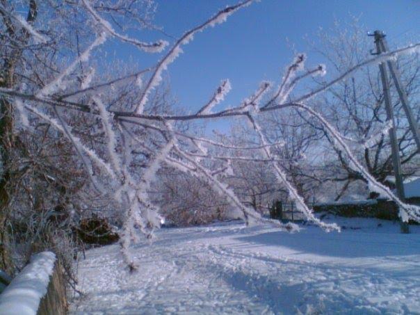 Олексіївка з panoramio.com - Алексеевка