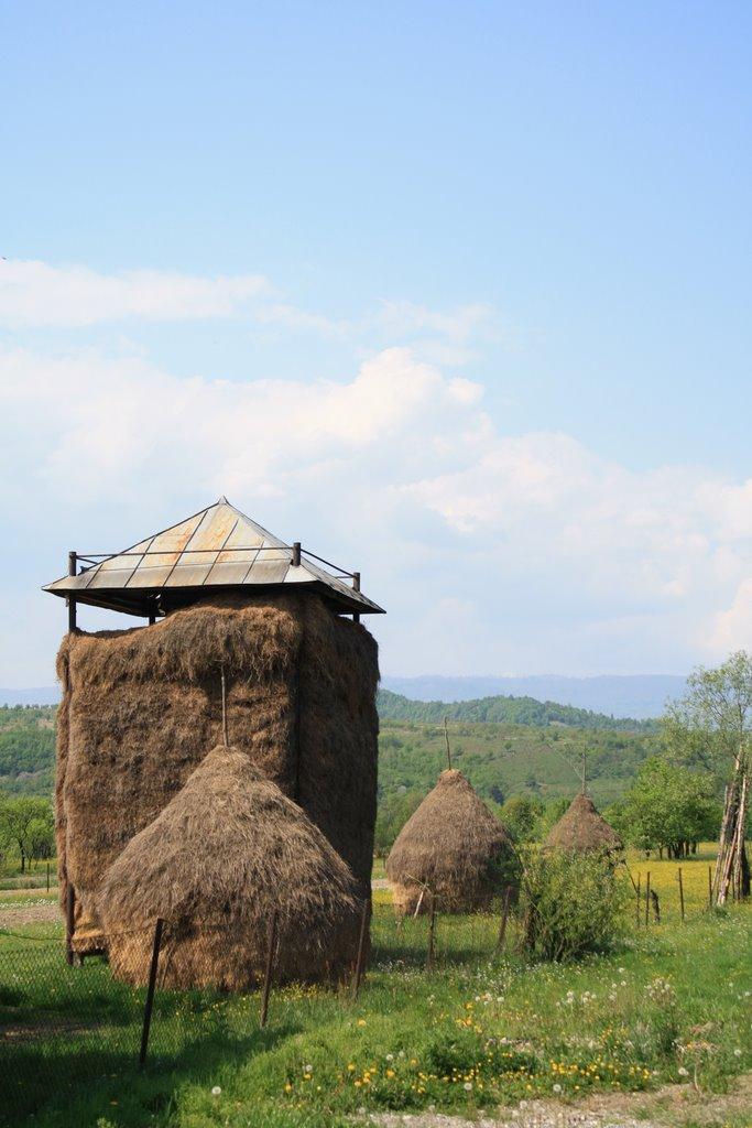 Біла Церква з panoramio.com - Біла Церква