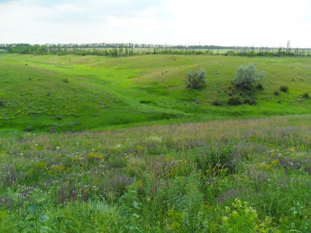 Пищевик з panoramio.com - Пищевик