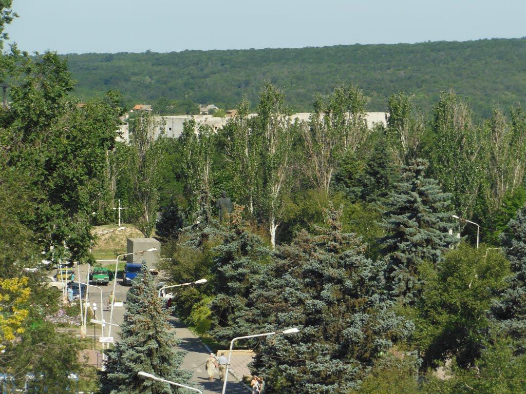 Василівка з panoramio.com - Василевка