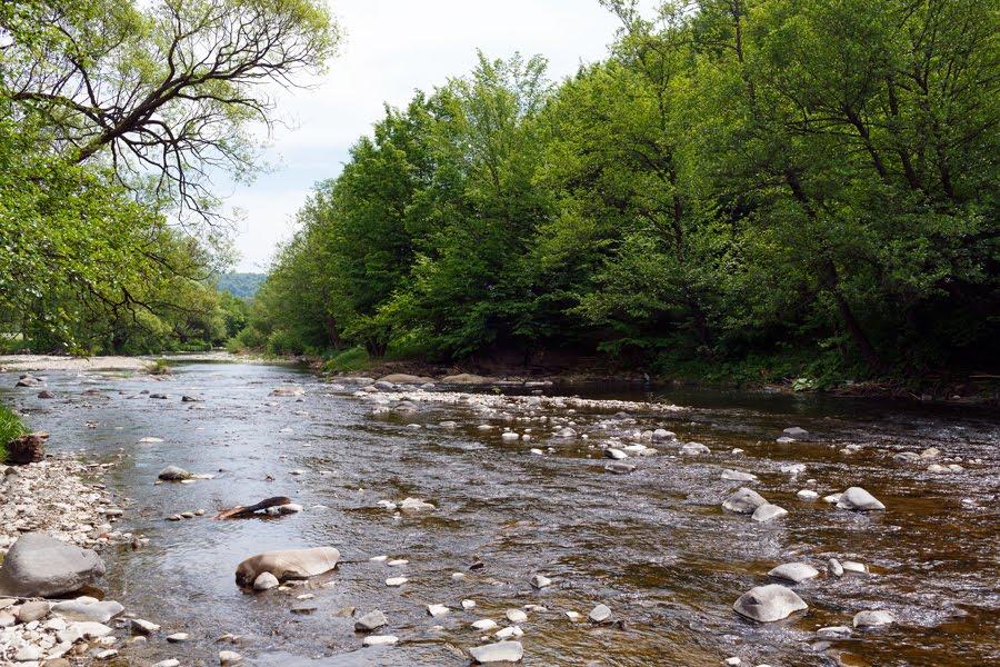 Поляна з panoramio.com - Поляна