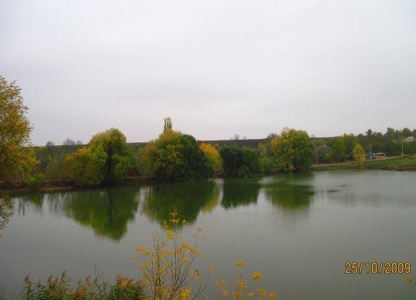 Олексіївка з panoramio.com - Алексеевка