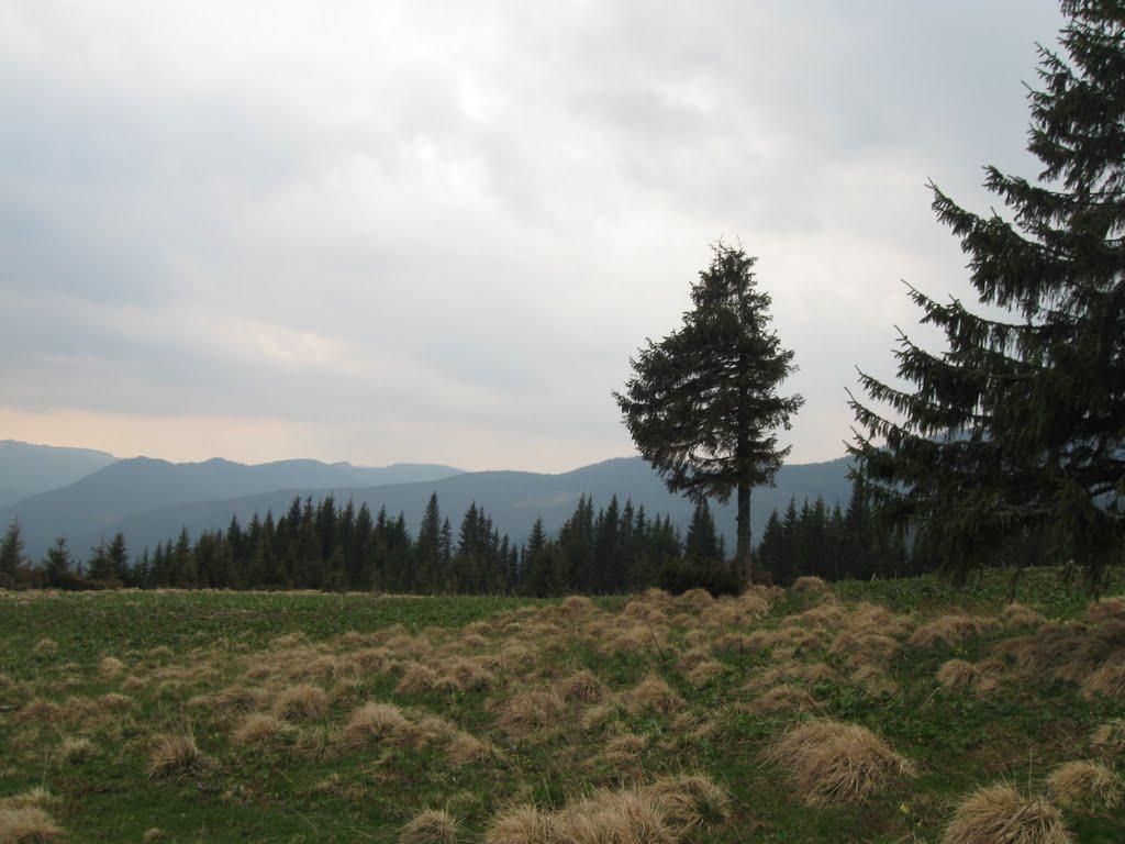 Голошина з panoramio.com - Голошина