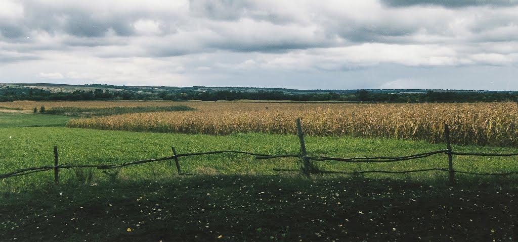Луканівка з panoramio.com - Луканівка