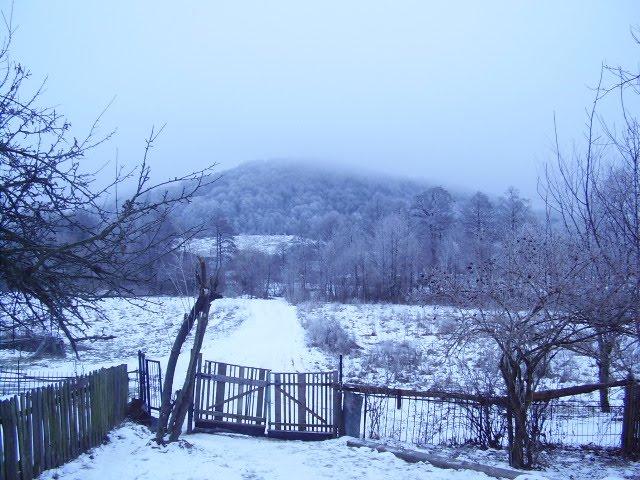 Фійна з panoramio.com - Фийна