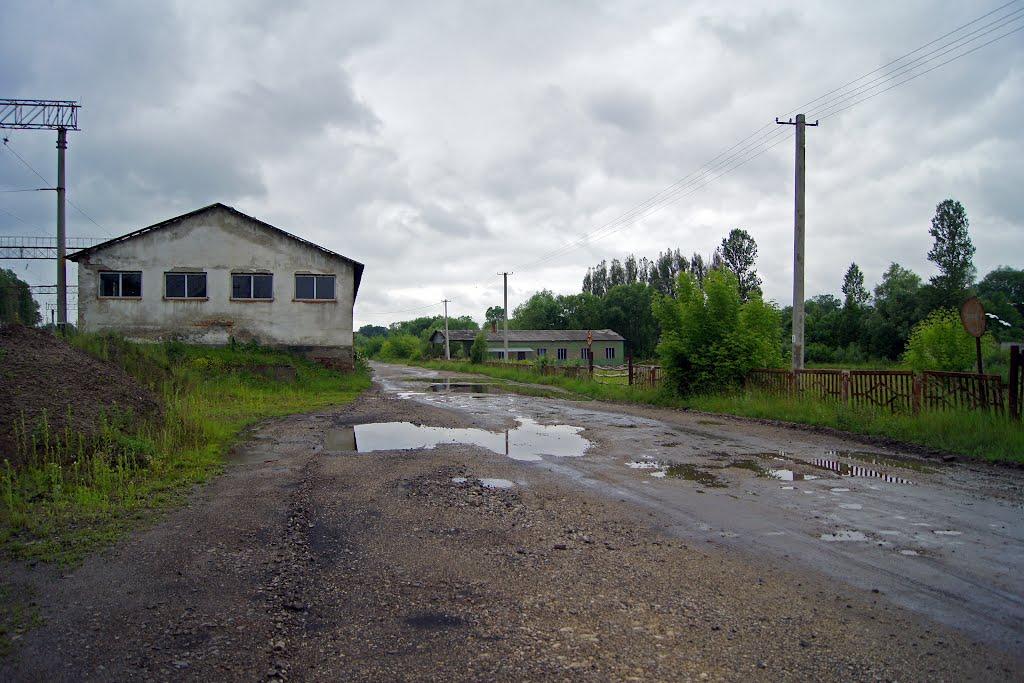 Великі Бірки з panoramio.com - Великие Борки