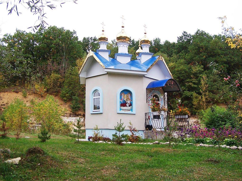 Дем'янківці з panoramio.com - Дем'янківці