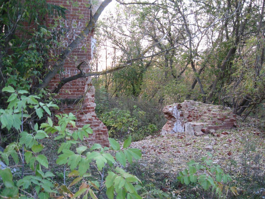 Травневе з panoramio.com - Травневе