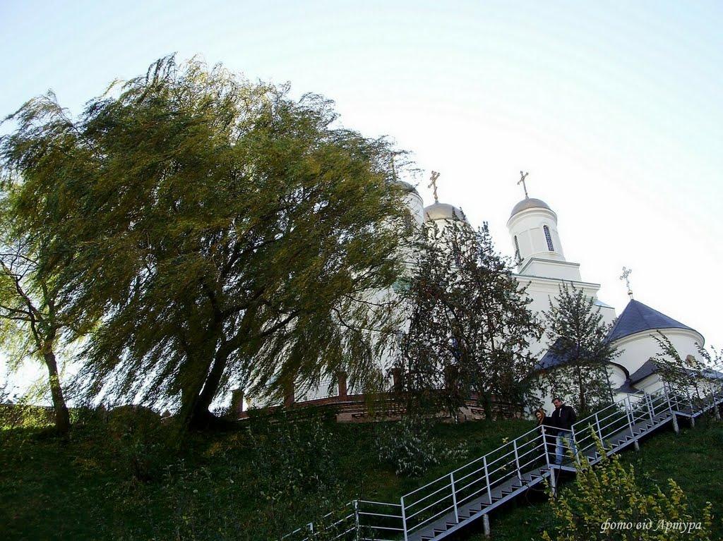 Зимне з panoramio.com - Зимнее