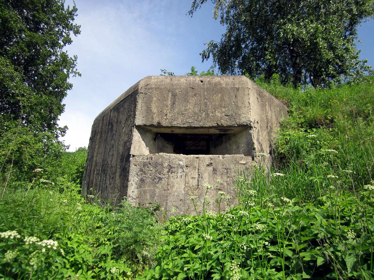 Околиці Юрівки (доти) - Юровка