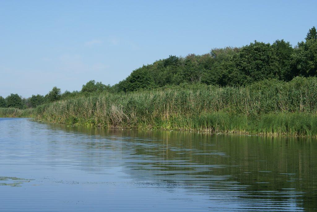 Верхоли з panoramio.com - Верхолы