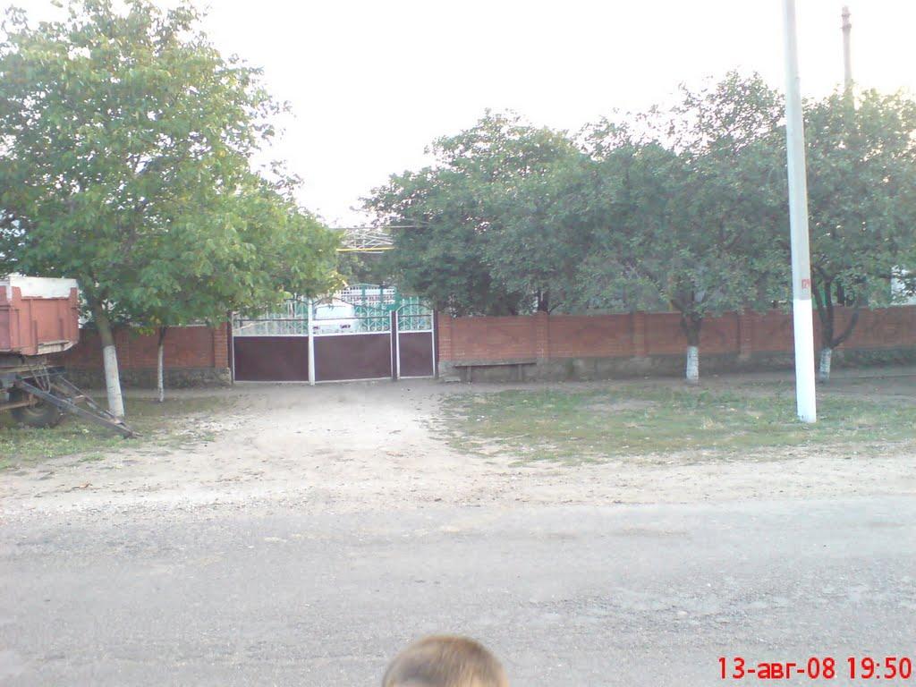 Підгірне з panoramio.com - Підгірне