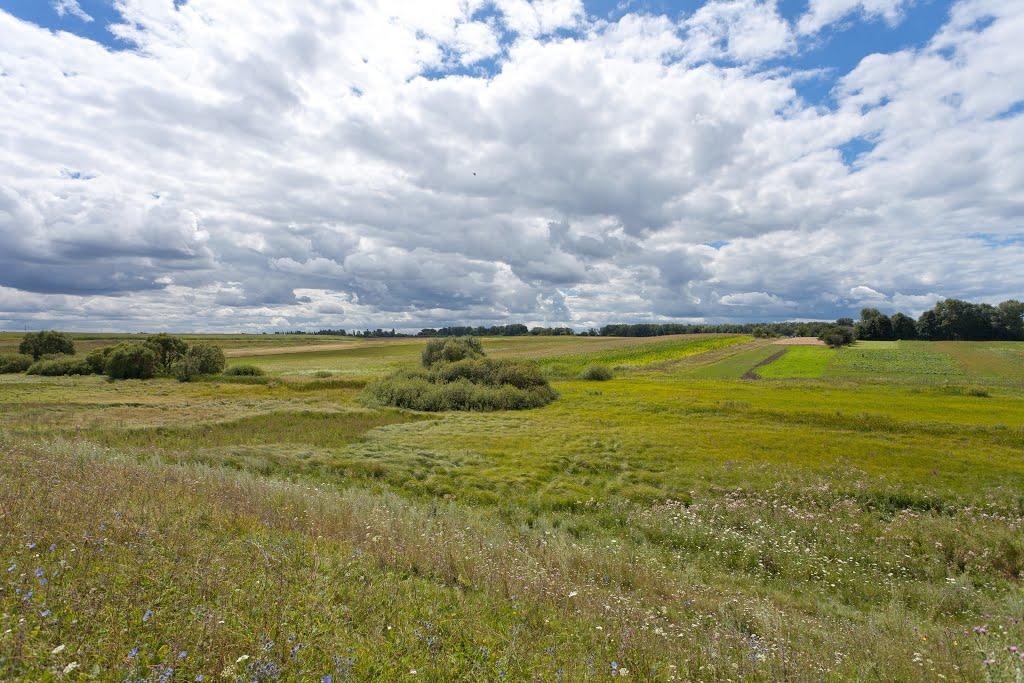 Харліївка з panoramio.com - Харлиевка