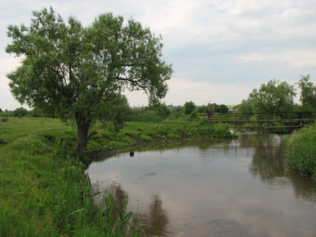 Клинці з panoramio.com - Клинці