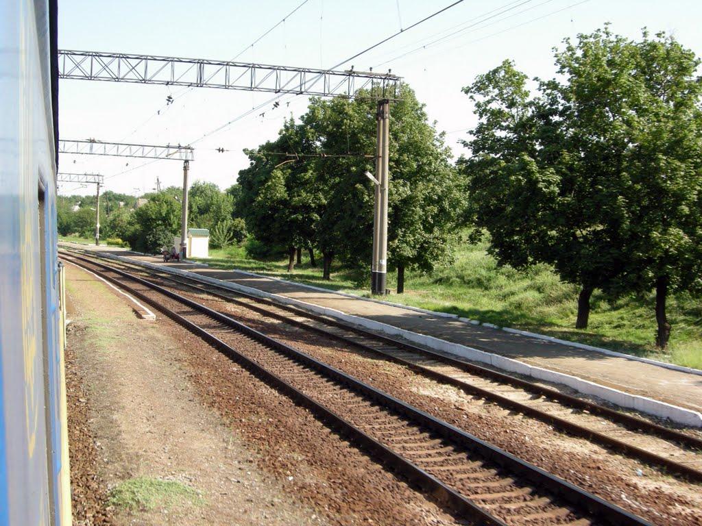 Плавні з panoramio.com - Плавні