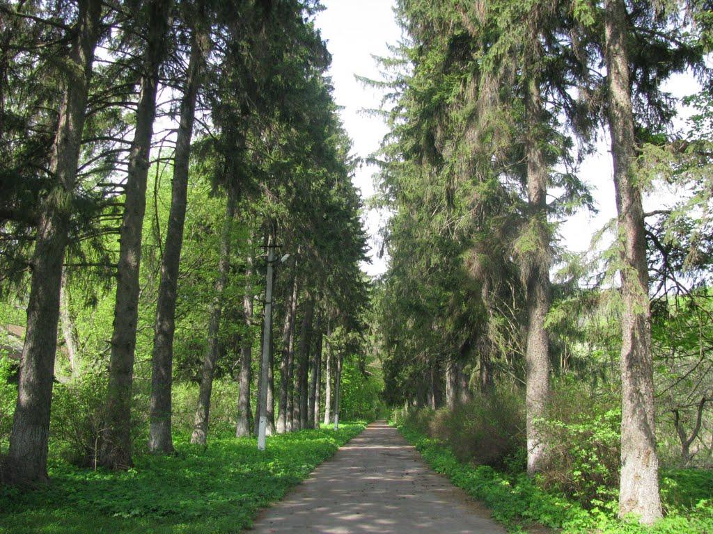 Тиниця з panoramio.com - Тиница