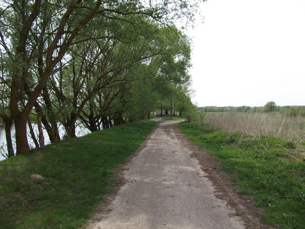 Виблі з panoramio.com - Виблі