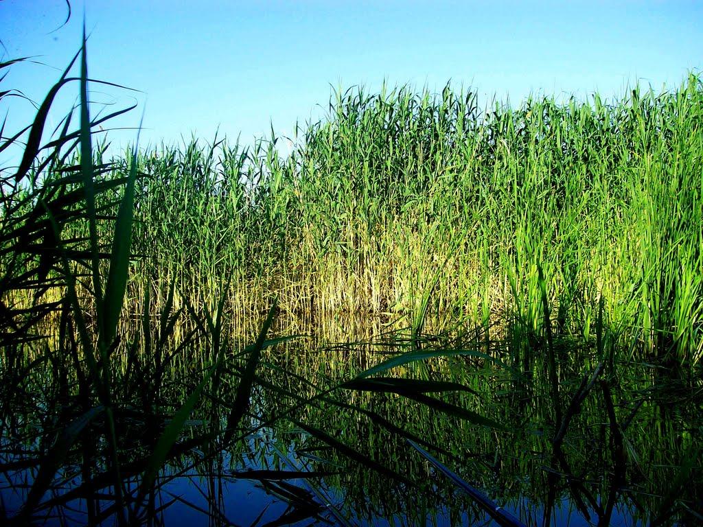 Шелехове з panoramio.com - Шелехово