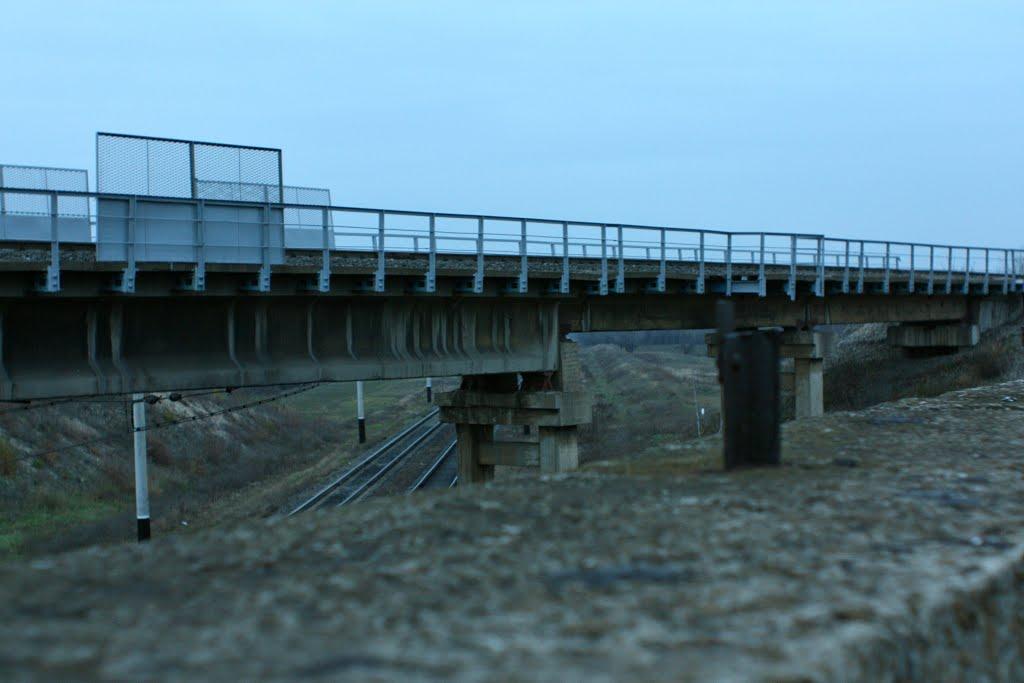 Родакове з panoramio.com - Родакове