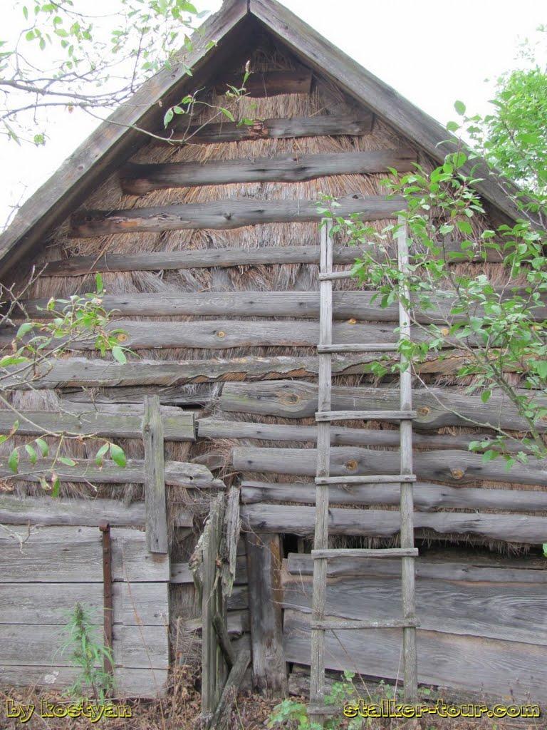 Дитятки з panoramio.com - Дитятки
