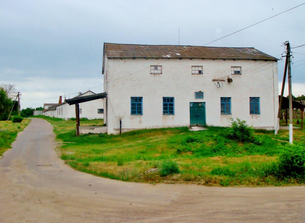 Неморож з panoramio.com - Nemorozh