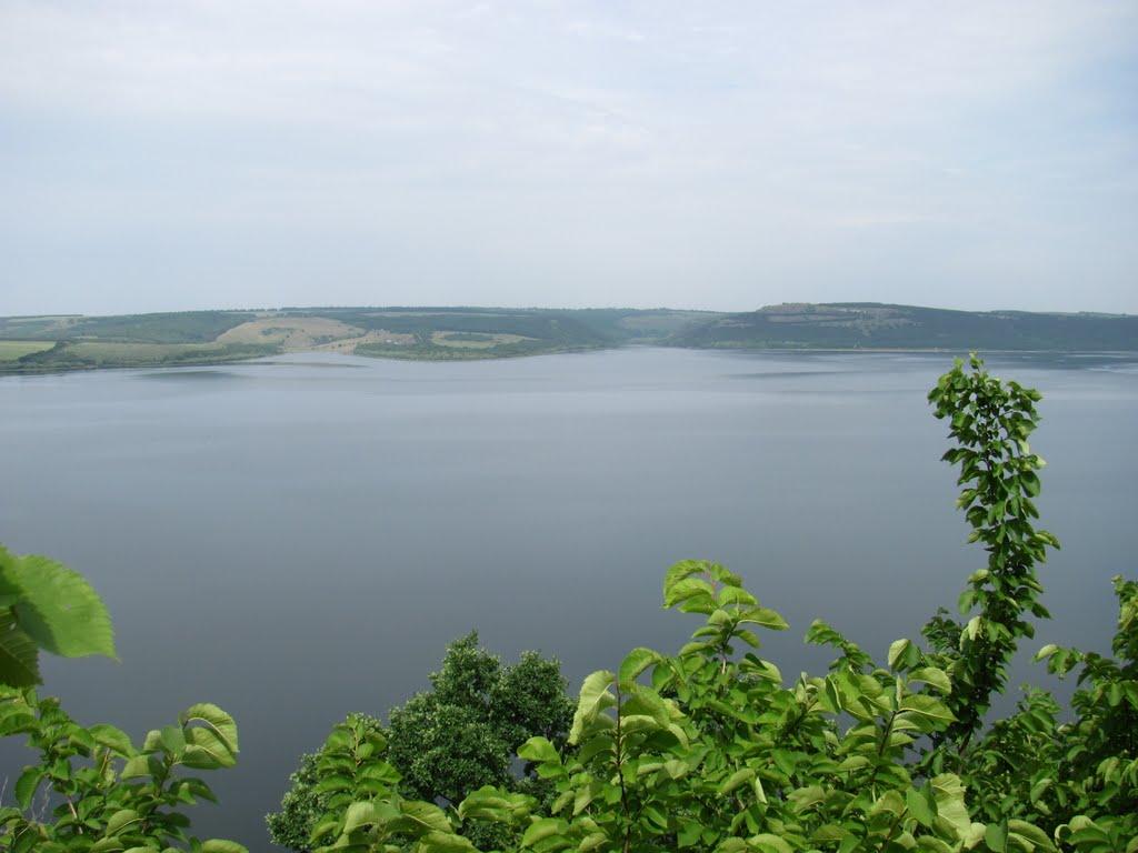 Каштанівка з panoramio.com - Каштанівка