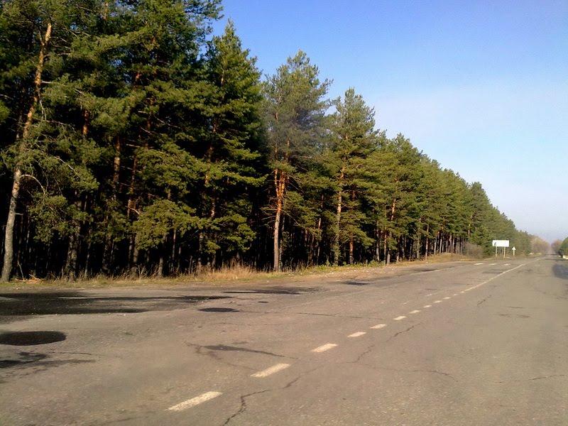 Іллічівка з panoramio.com - Іллічівка