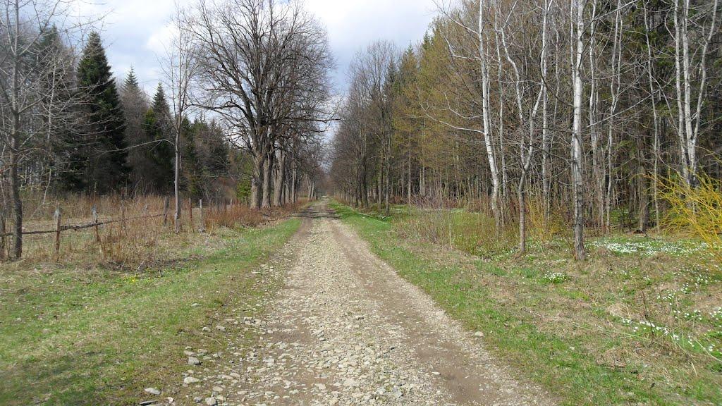 Аршиця з panoramio.com - Arshytsya