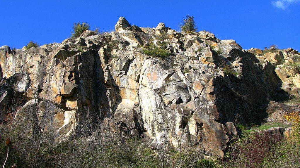 Партизанське з panoramio.com - Партизанское