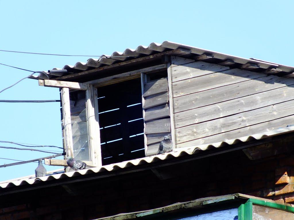 Зимівники з panoramio.com - Зимівники