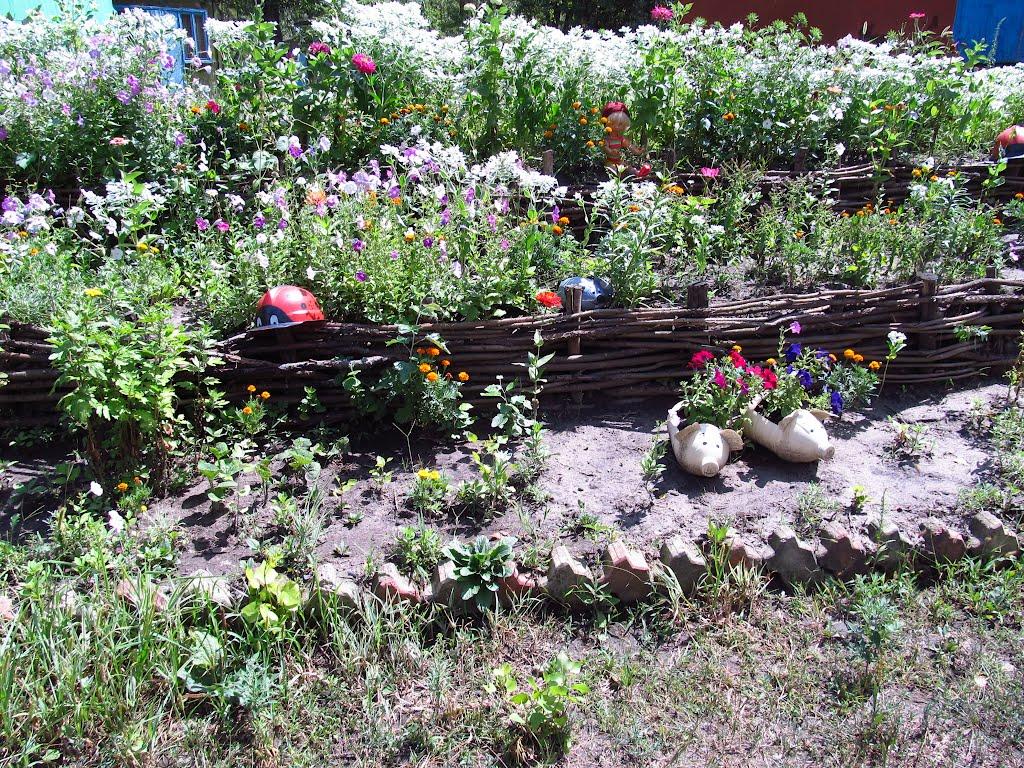 Кияшки з panoramio.com - Кияшки
