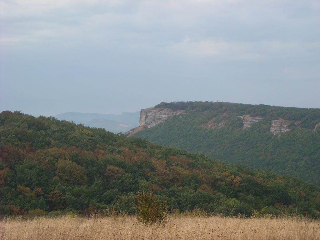 Партизанське з panoramio.com - Партизанське