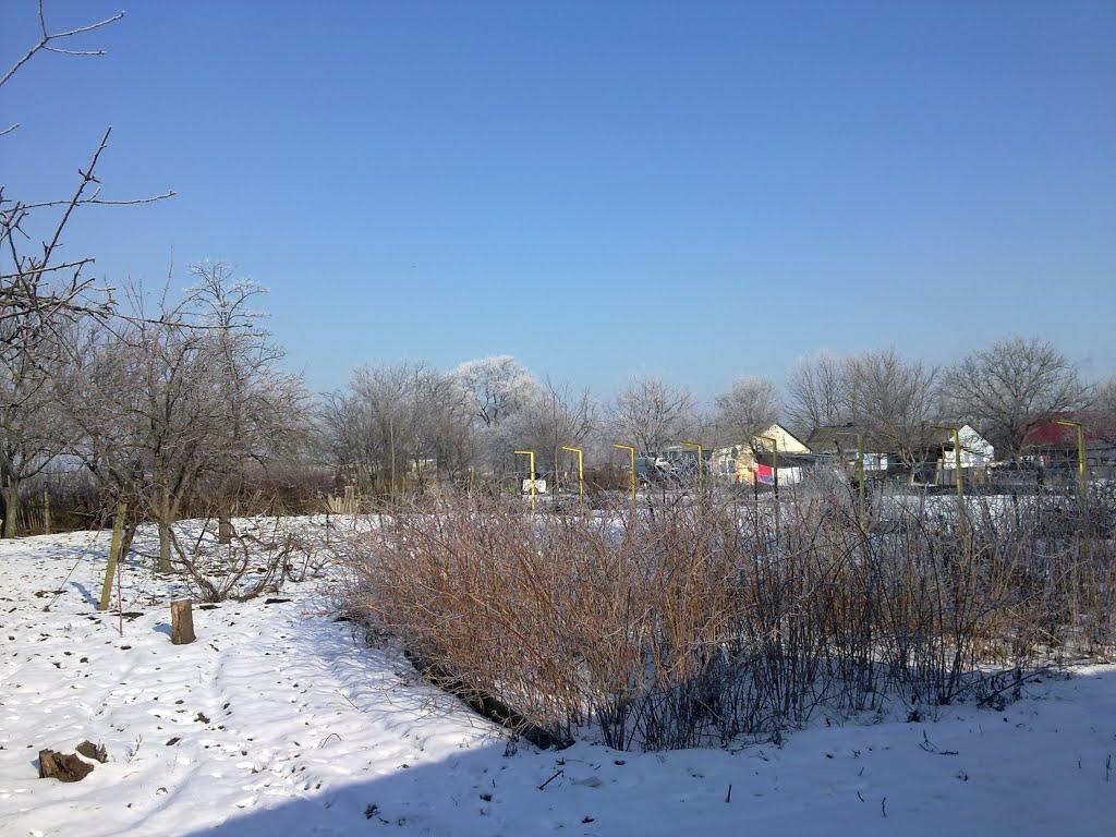 Миколаївське з panoramio.com - Николаевское