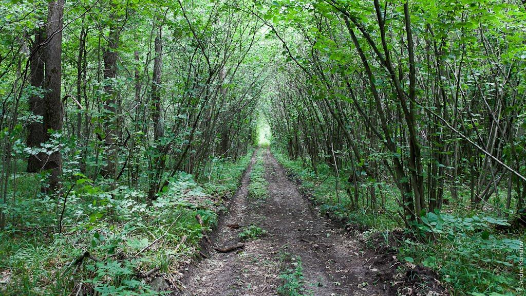 Руські Тишки з panoramio.com - Руські Тишки