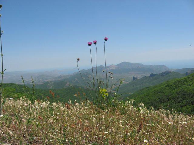 Краснокам'янка з panoramio.com - Краснокаменка