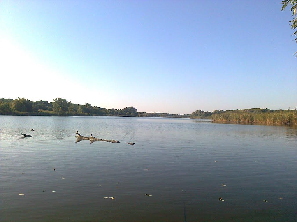 Зелене з panoramio.com - Зелене