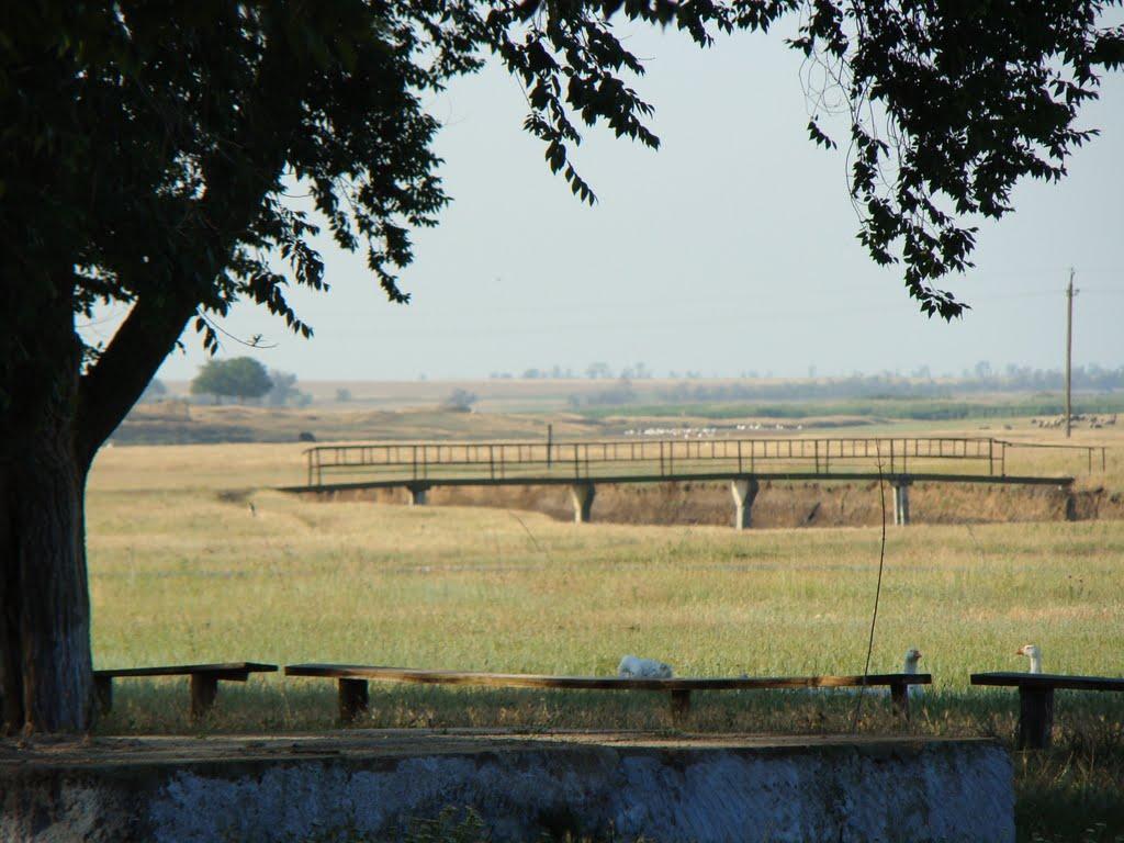 Жовтий Яр з panoramio.com - Жовтий Яр