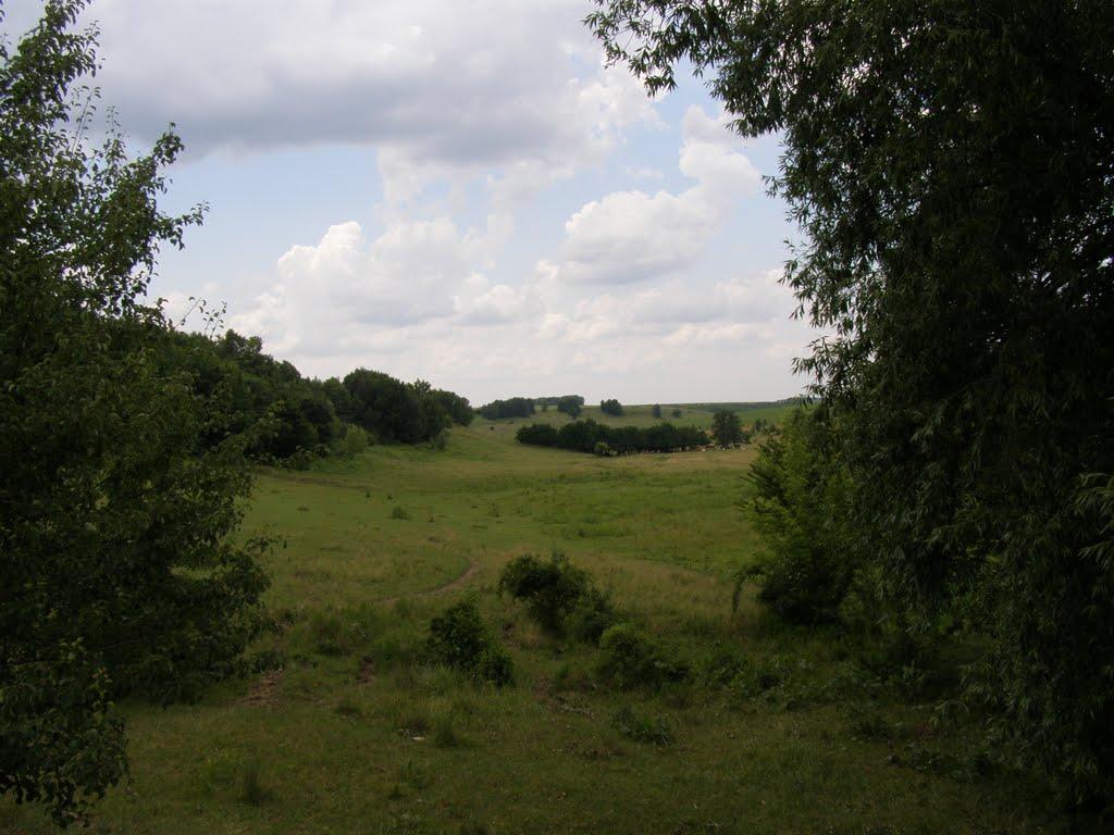 Сатанівка з panoramio.com - Сатановка