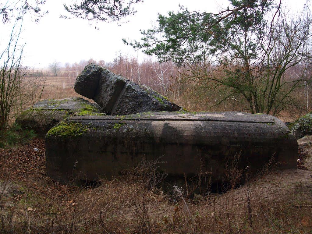 Козаровичі з panoramio.com - Козаровичи