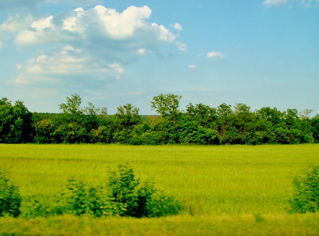 Хлипнівка з panoramio.com - Khlypnivka