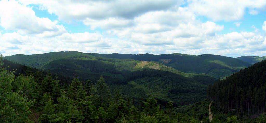 Долішній Шепіт з panoramio.com - Долишний Шепот