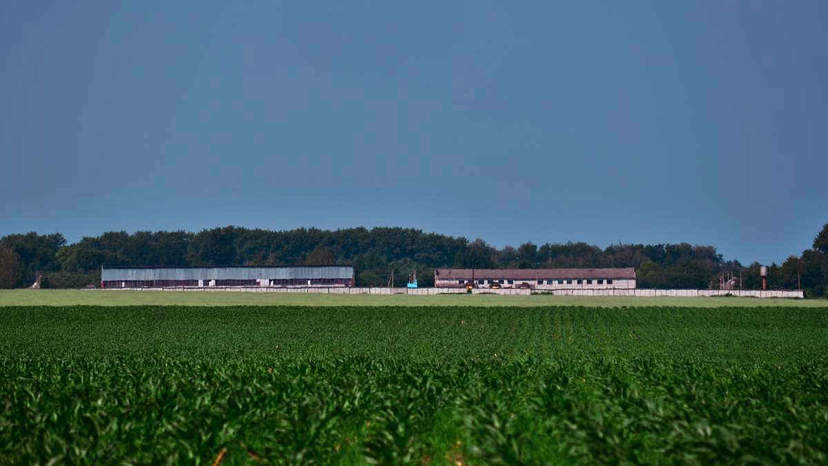 Зелене - Зелене