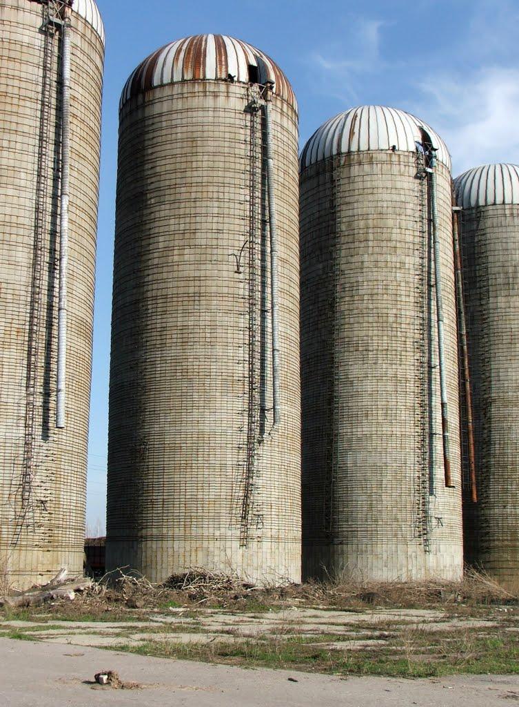 Виблі з panoramio.com - Виблі