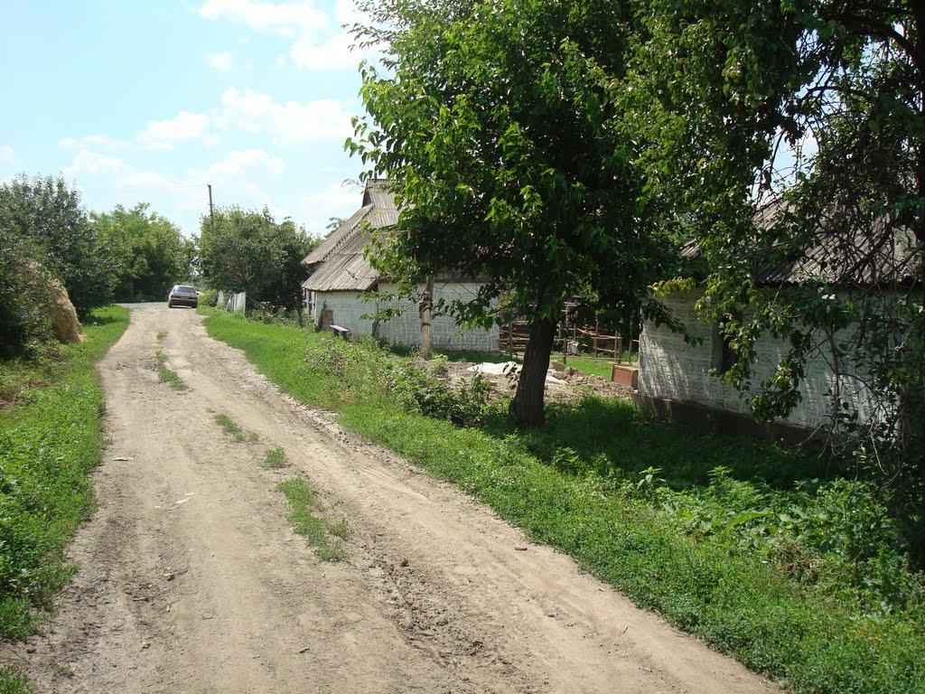 Побузьке з panoramio.com - Pobuzke