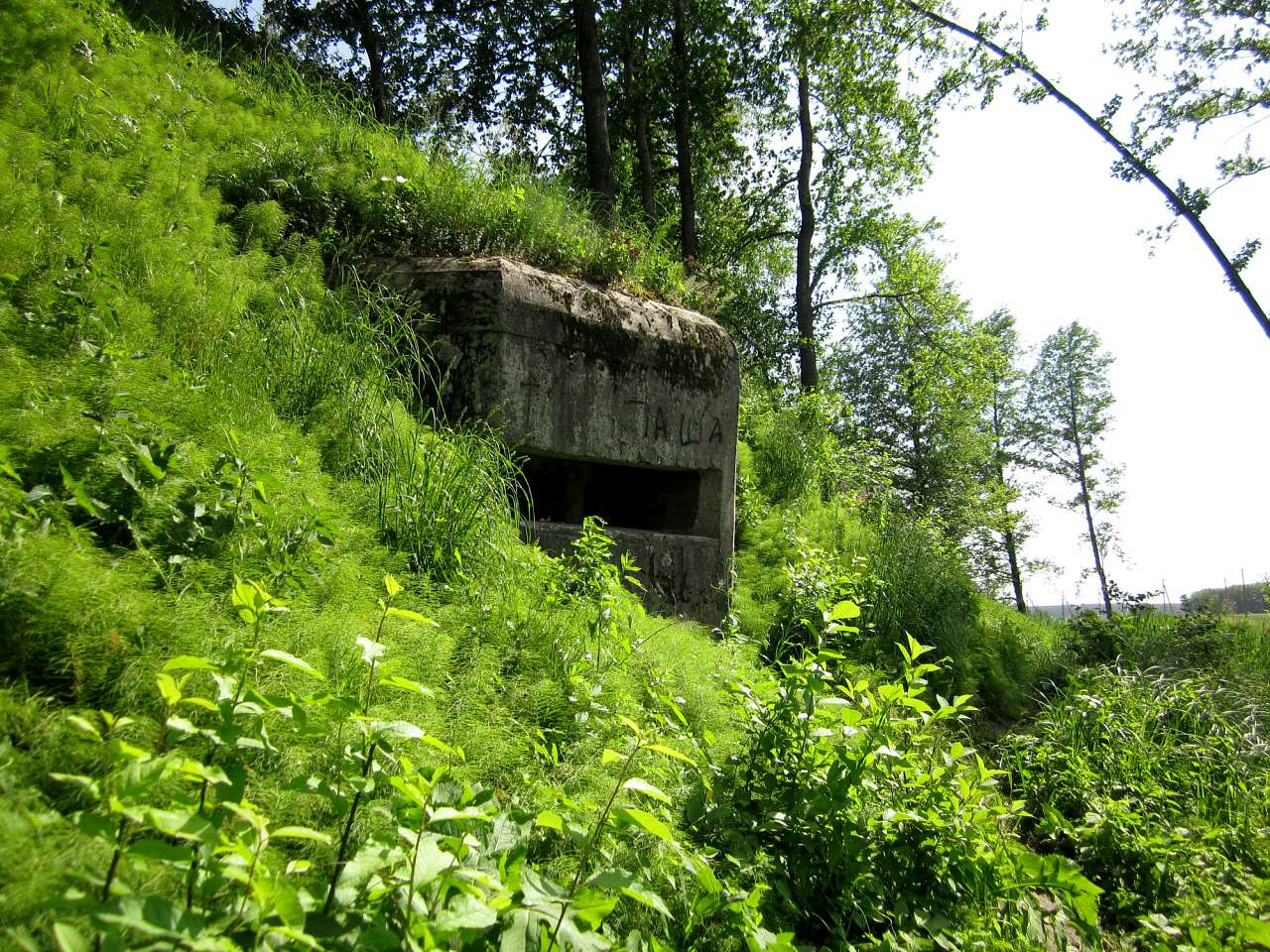 Околиці Юрівки (доти) - Юрівка