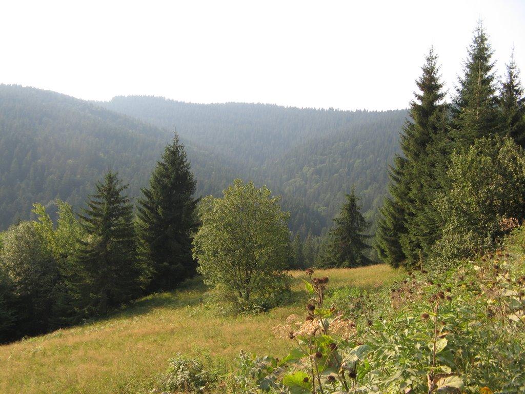 Руська з panoramio.com - Ruska