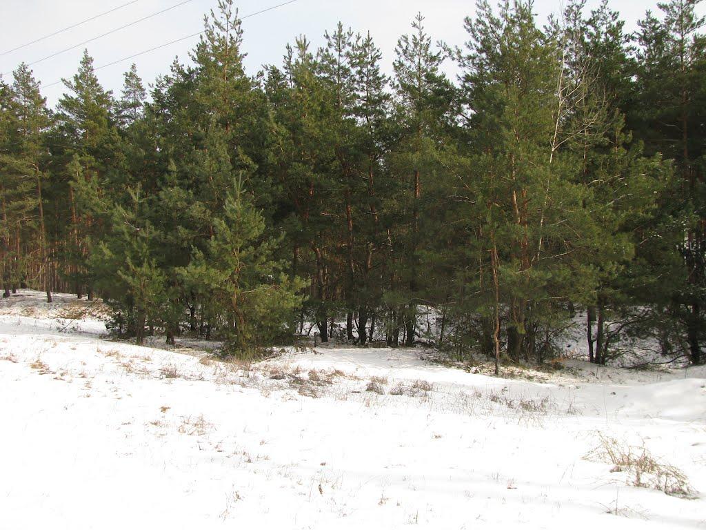 Троянівка з panoramio.com - Трояновка