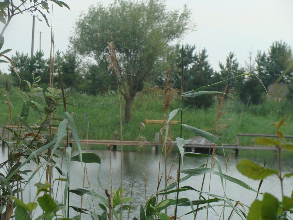 Оглядів з panoramio.com - Оглядів