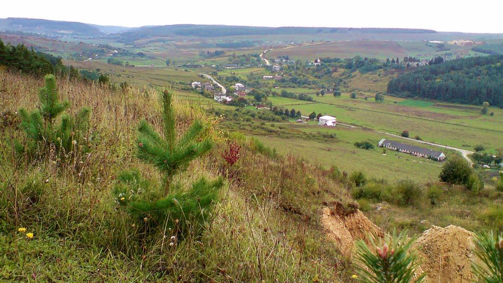 Рогачин з panoramio.com - Rogachyn